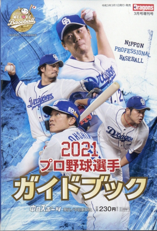 プロ野球選手ガイドブック2010〜2013 発行東京新聞 東京中日