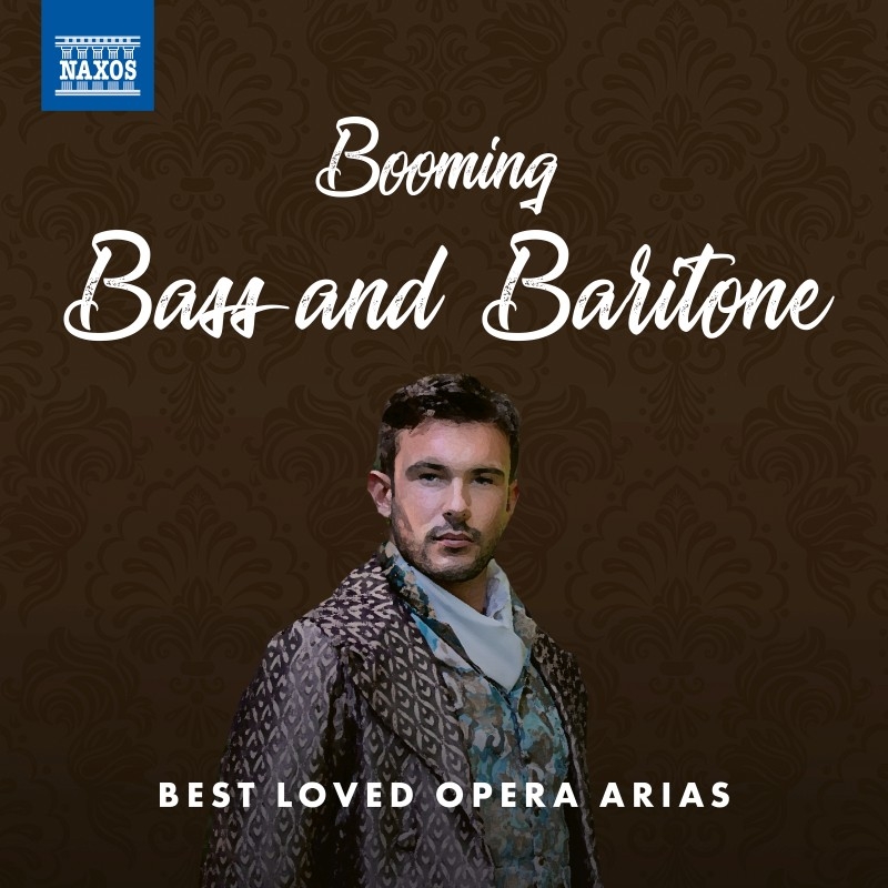Best Loved Opera Arias～バスとバリトンのためのオペラ・アリア名曲集 HMVBOOKS online 8578191