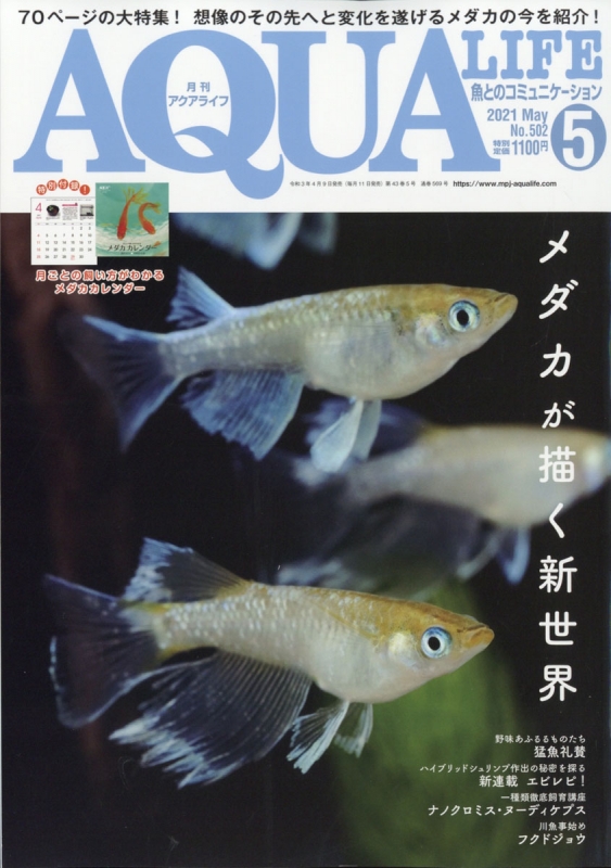 月刊 AQUA LIFE (アクアライフ)2021年 5月号 : 月刊AQUA LIFE編集部