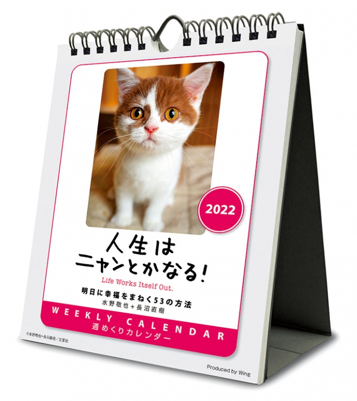 人生はニャンとかなる！ / 2022年カレンダー : 2022年カレンダー