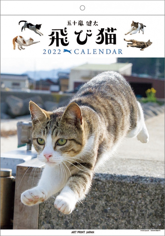 飛び猫 22年カレンダー 22年カレンダー Hmv Books Online 22cl402