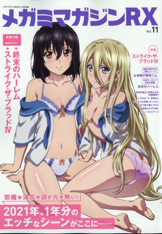 Megami MAGAZINE Rx Vol.11 Megami MAGAZINE 2022年 1月号別冊