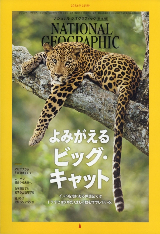 National Geographic ナショナルジオグラフィック - ダウンジャケット
