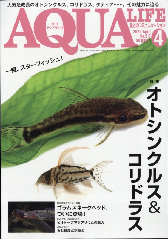 月刊 AQUA LIFE (アクアライフ)2022年 4月号 : 月刊AQUA LIFE編集部