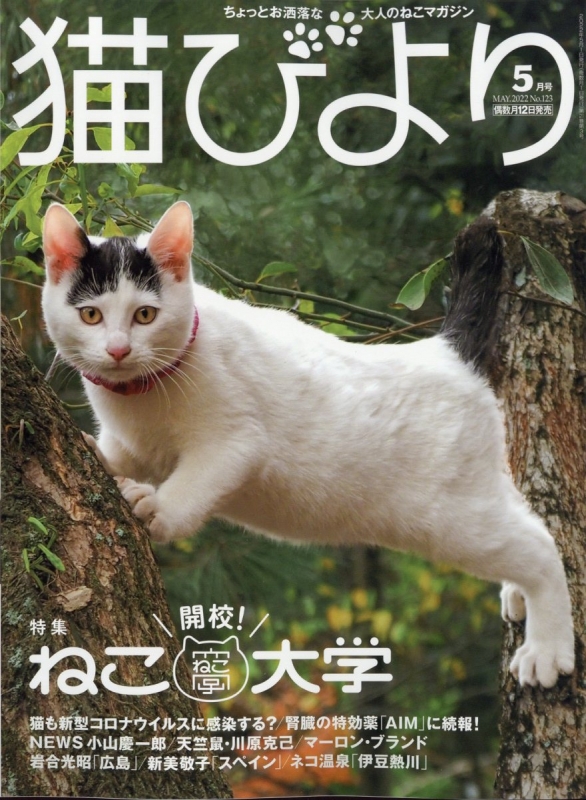 猫びより 2001年 2002年 2003年 3年分まとめてしゃのさんの雑誌検索 ...