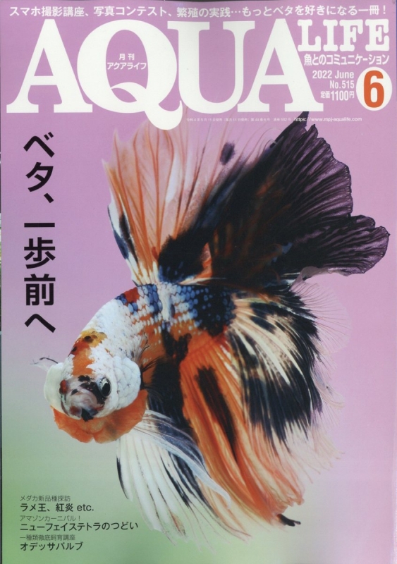 月刊 AQUA LIFE (アクアライフ)2022年 6月号 : 月刊AQUA LIFE編集部