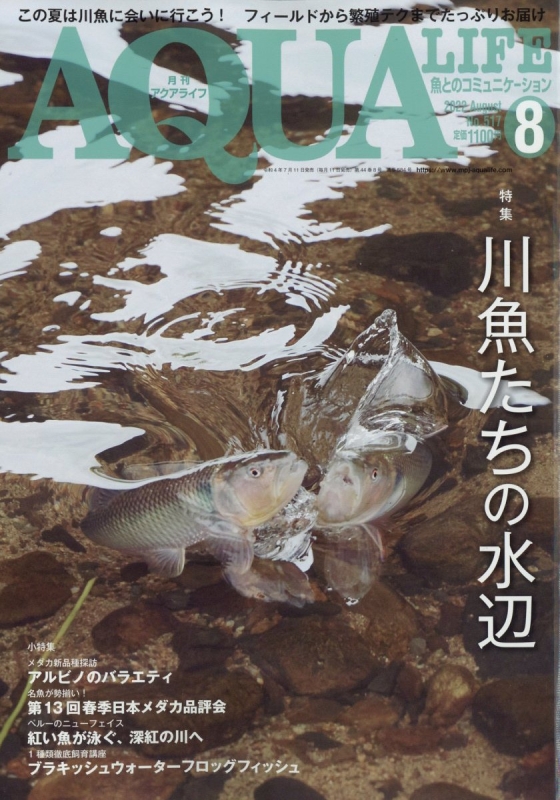 ７ぴあ』2017年1月号／表紙：水樹奈々