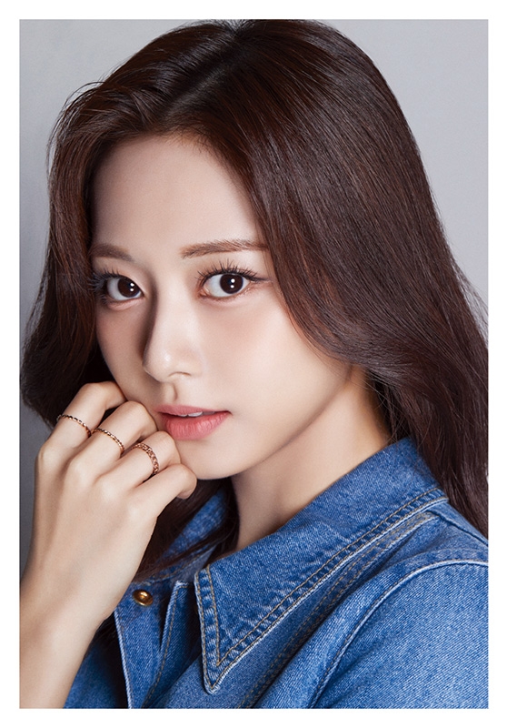 TWICE TZUYU(ツウィ) クリアファイル 最新作の - アイドル