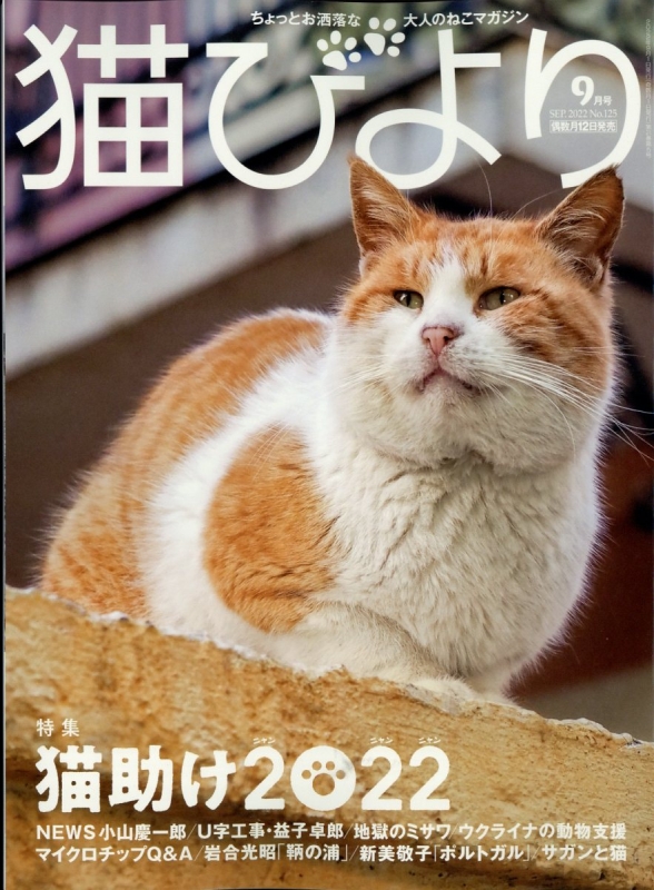 猫びより 2001年 2002年 2003年 3年分まとめてしゃのさんの雑誌検索 ...