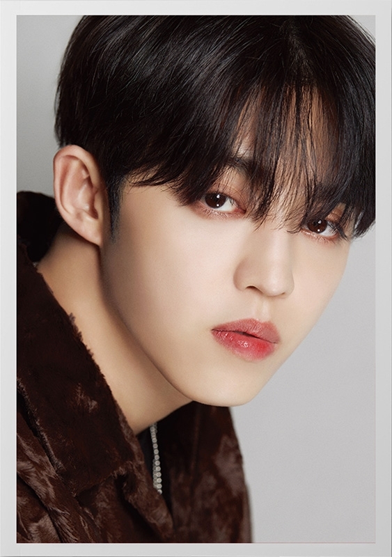 DICON D'FESTA SEVENTEEN S.COUPS version《全額内金》 : SEVENTEEN 