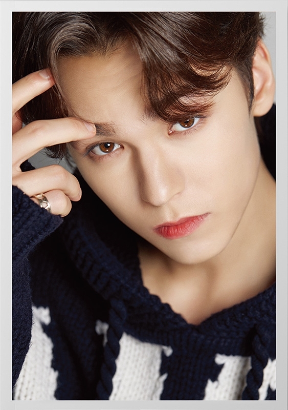 DICON D'FESTA SEVENTEEN VERNON version《全額内金》 : SEVENTEEN