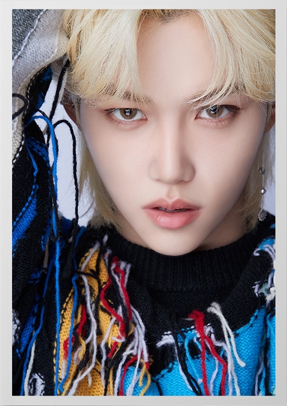 DICON D'FESTA STRAY KIDS FELIX version《全額内金》 : Stray Kids