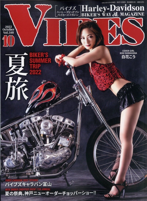 vibes  28冊 vibes 28冊