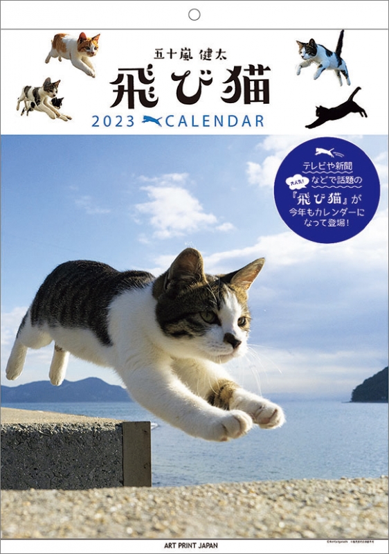 飛び猫 / 2023年カレンダー : 2023年カレンダー | HMVBOOKS online - 23CL402