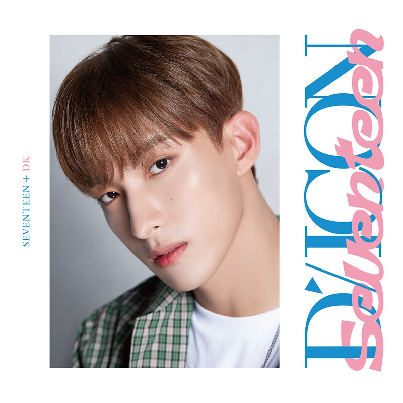 DICON D'FESTA MINI EDITION SEVENTEEN DK《全額内金》 : SEVENTEEN