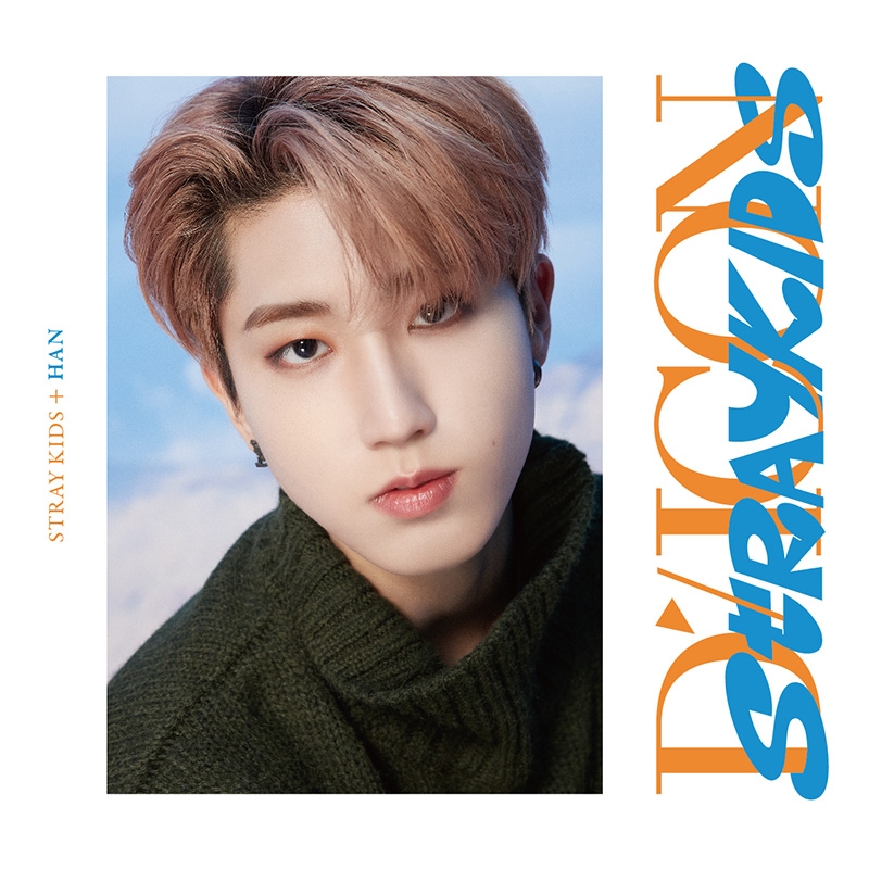 DICON D'FESTA MINI EDITION STRAY KIDS HAN《全額内金》 : Stray Kids