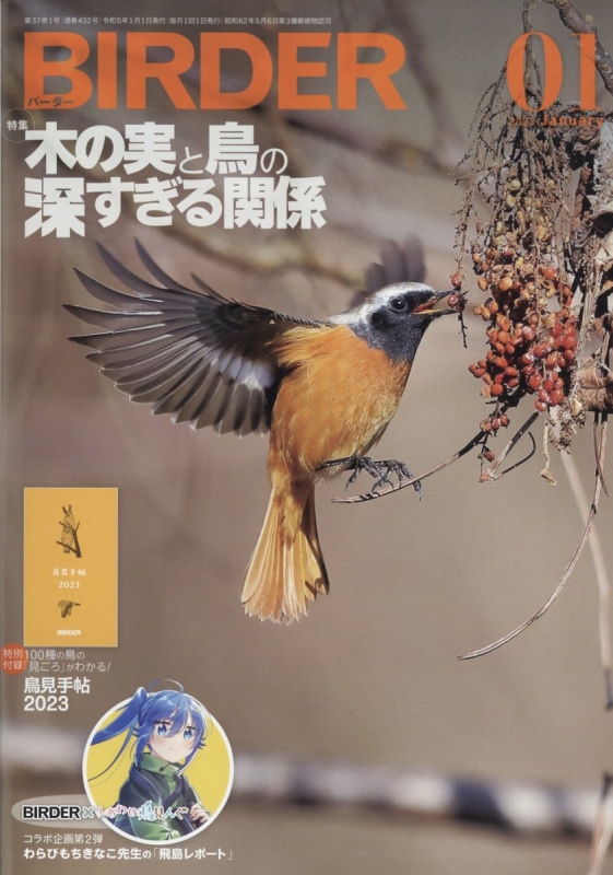 BIRDER バーダー 2020年 11月号 特集:公園探鳥のススメ - 趣味