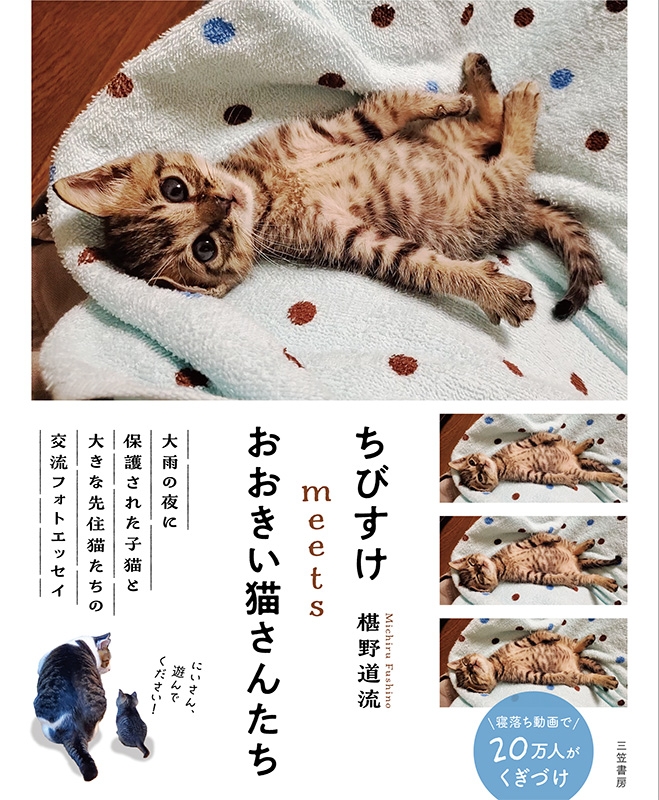 ちびすけmeetsおおきい猫さんたち［単行本］ : 椹野道流 | HMV&BOOKS