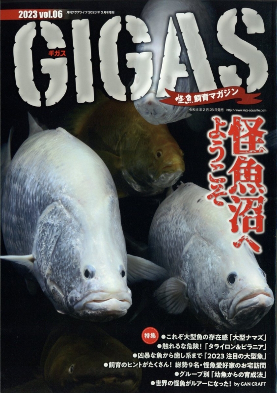 怪魚飼育マガジン Gigas (ギガス)Vol.6 月刊 AQUA LIFE (アクアライフ