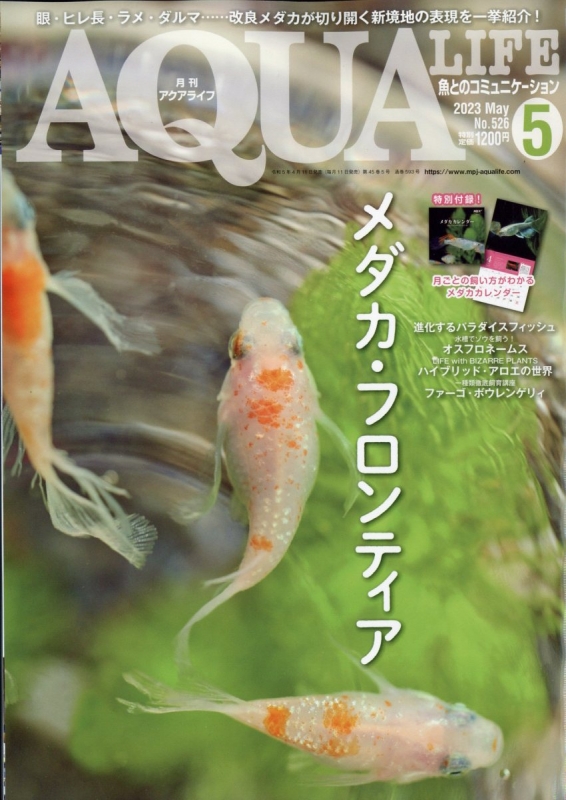 月刊 AQUA LIFE (アクアライフ)2023年 5月号 : 月刊AQUA LIFE編集部