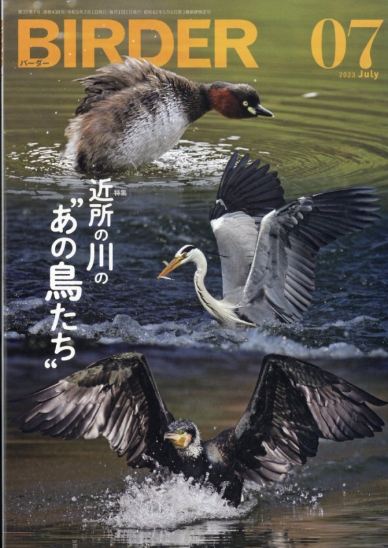BIRDER (バーダー)2023年 7月号 : BIRDER編集部 | HMV&BOOKS online