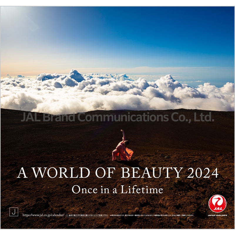 JAL「A WORLD OF BEAUTY」（普通判） / 2024年カレンダー : 2024年