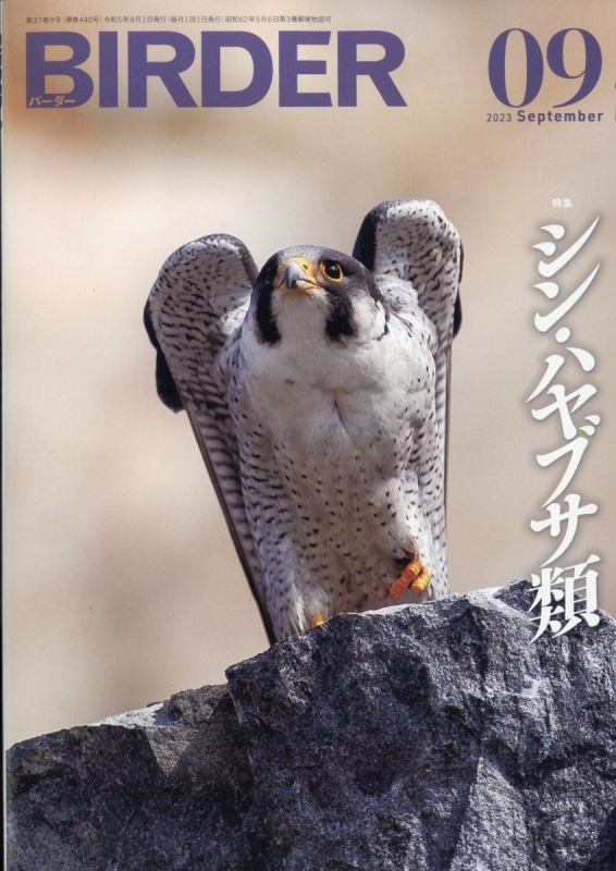 BIRDER (バーダー)2023年 9月号 : BIRDER編集部 | HMV&BOOKS