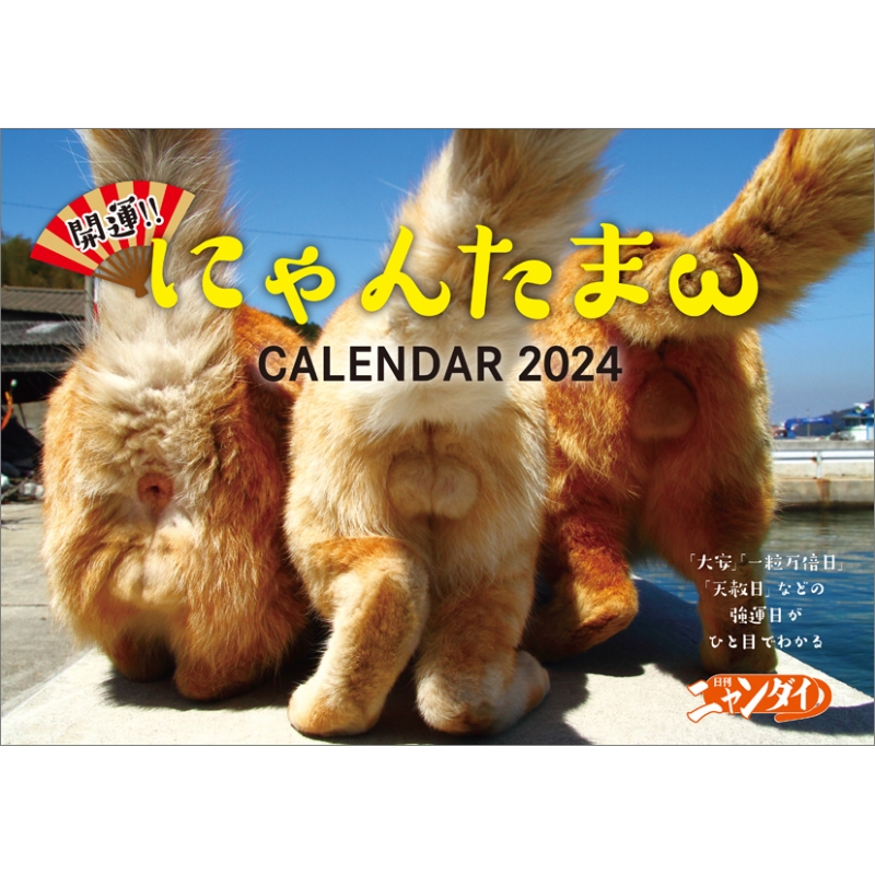 開運！！にゃんたま カレンダー / 2024年カレンダー : 2024年