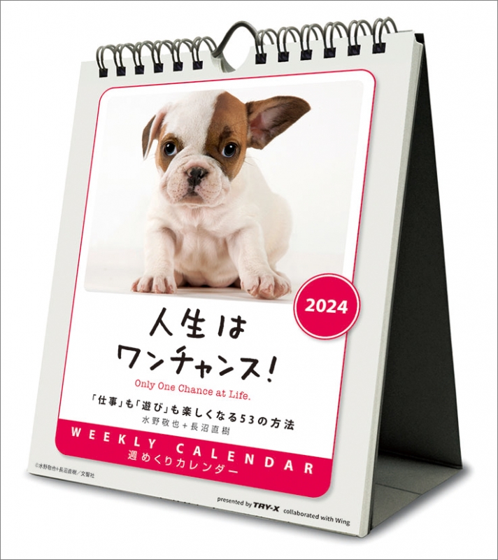 人生はワンチャンス! / 2024年卓上 / 壁掛カレンダー : 2024年