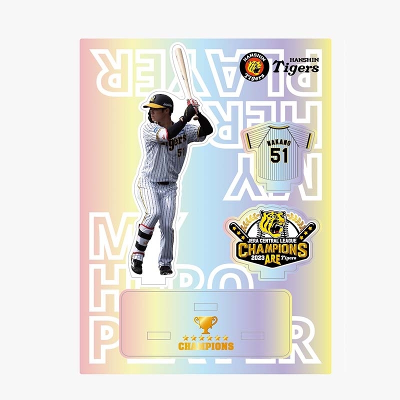 阪神タイガース優勝記念 TIGERS BASEBALL DVD