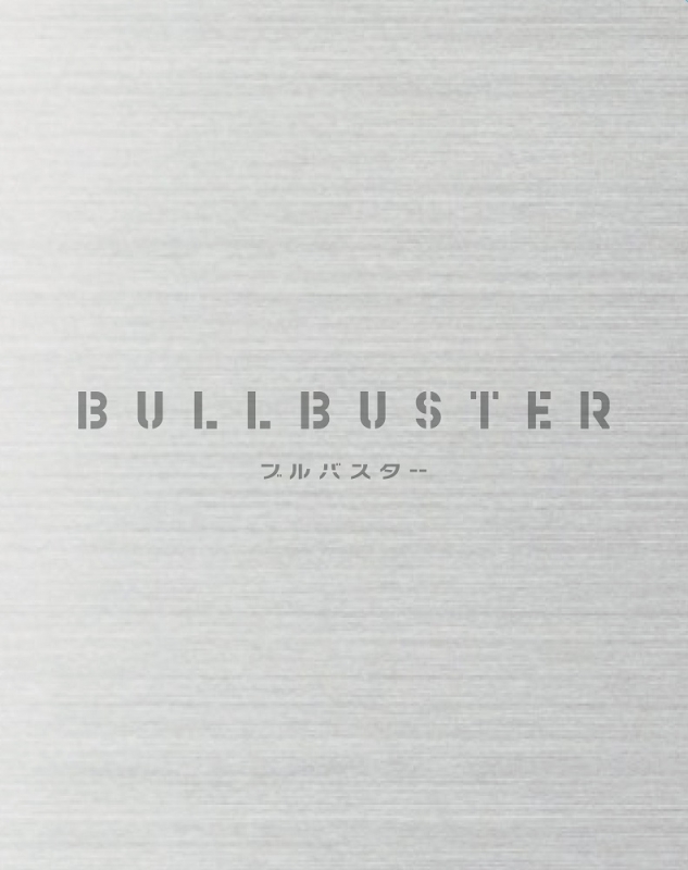 ブルバスター DVD BOX 上巻 : BULLBUSTER ブルバスター