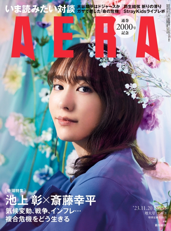 【非売品】新垣結衣　ポスター　虹 非売品】新垣結衣 ポスター 虹