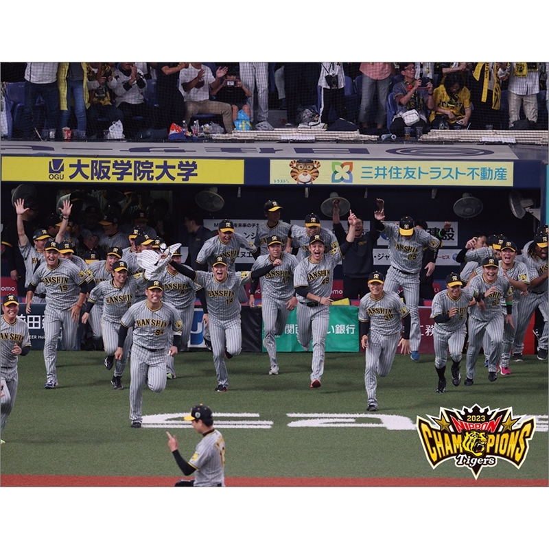 阪神タイガース 日本一優勝記念グッズ 日本一記念フォトパネル【限定 ...