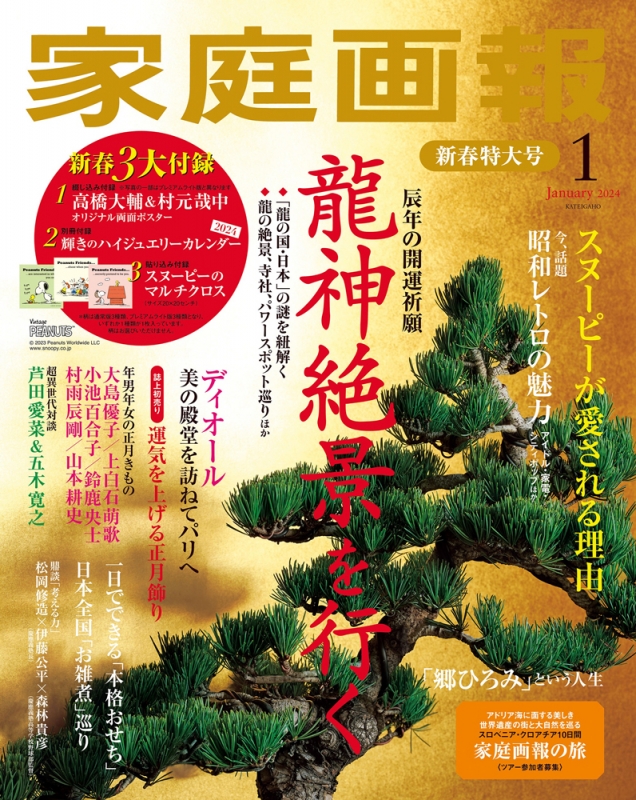 家庭画報 2024年 1月号 : 家庭画報編集部 | HMV&BOOKS online - 024330124