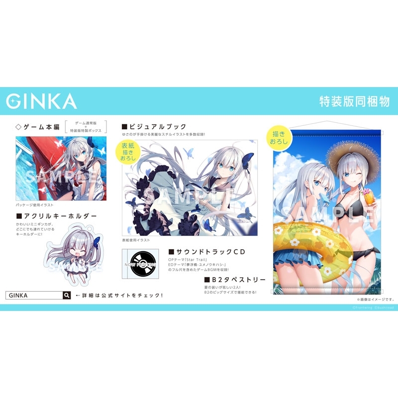 GINKA 特装版 : Game Soft (Nintendo Switch) | HMV&BOOKS online 