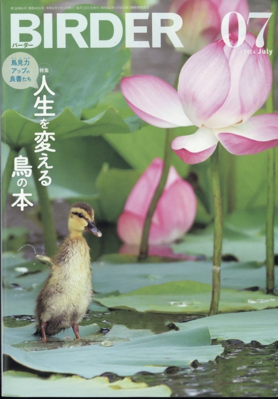 BIRDER (バーダー)2024年 7月号 BIRDER編集部 HMV&BOOKS online 175450724