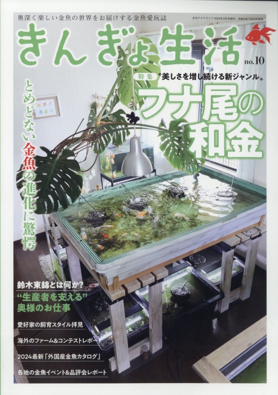 きんぎょ生活NO2、3、4 セット 金魚 雑誌 - 雑誌