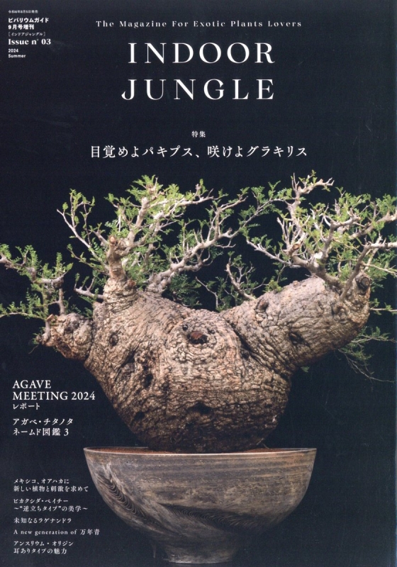 INDOOR JUNGLE（インドアジャングル） No.02 ビカクシダ現象