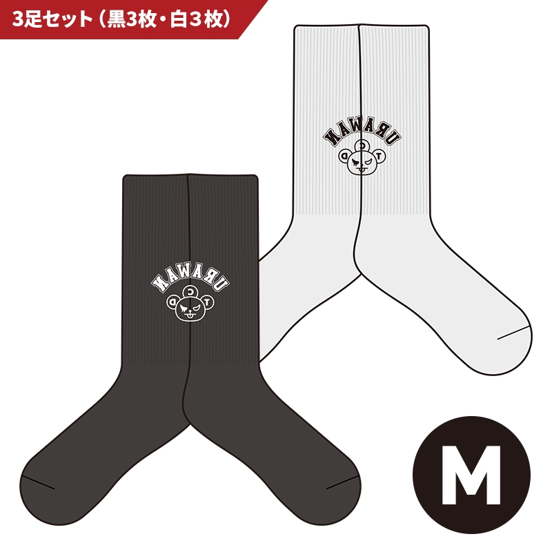 BEAMS×ウラワン2024/2025 3packソックス Mサイズ : DREAMS COME