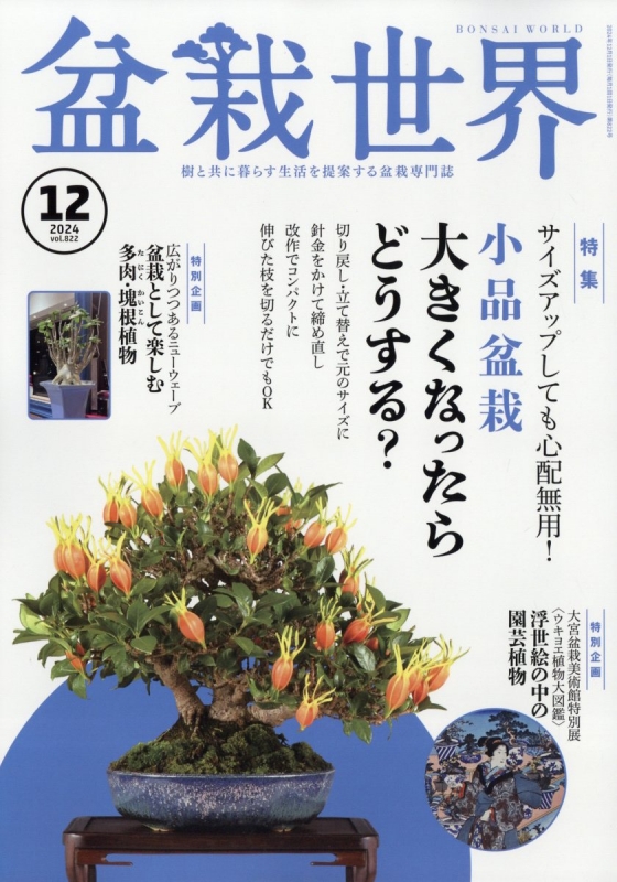 盆栽世界 2024年 12月号 : 盆栽世界編集部 | HMV&BOOKS online