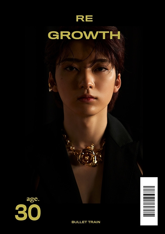 BULLET TRAIN No.5 PHOTO WORD BOOKuRE GROWTHv