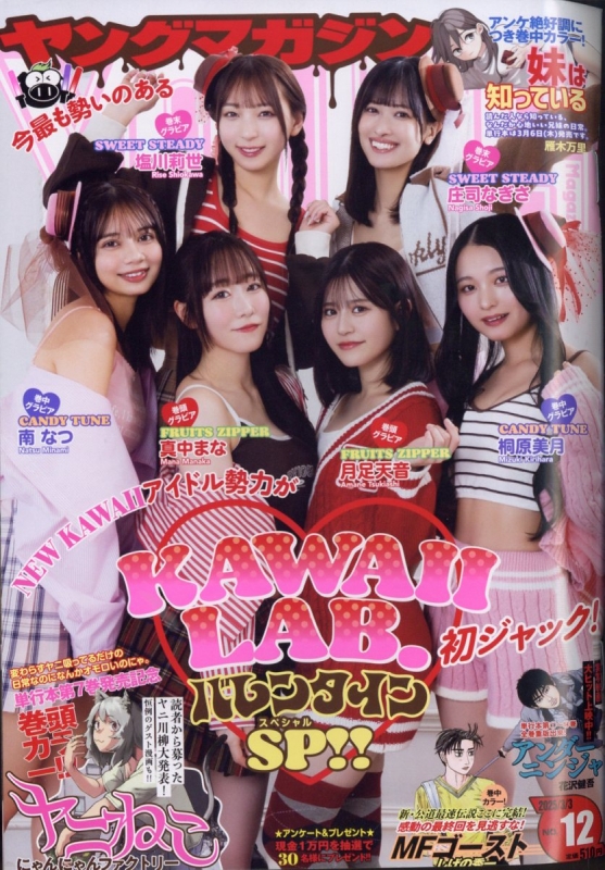 ヤングマガジン 1991年6月24日号 No.27 「3×3EYES」 特集号 ヤング