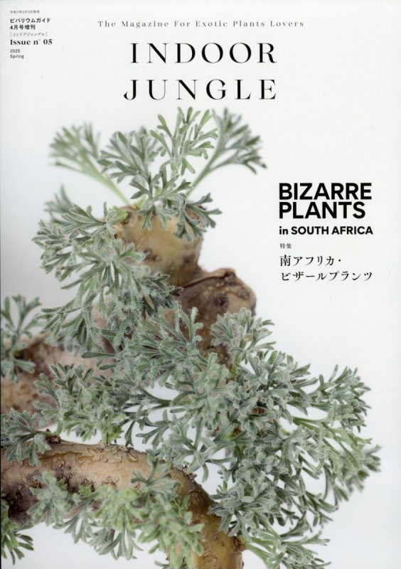 【まとめ売り】INDOOR JUNGLE インドアジャングル　1.2.3.4 INDOOR JUNGLE （インドアジャングル）No.04 アガベ ニュー