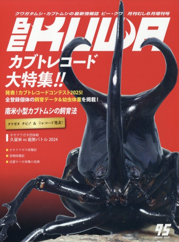 月刊むし　BE KUWA（ビークワ）6 Be Kuwa (ビー クワ)月刊 むし 2025年 6月号増刊 | HMV&BOOKS