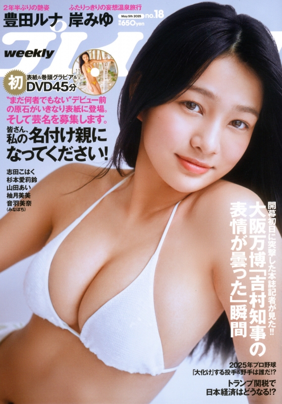 「週刊プレイボーイ2024・2025」30冊まとめ売り(No.33～18)集英社 集英社 - 「週刊プレイボーイ2024・2025」30冊まとめ売り(No.33