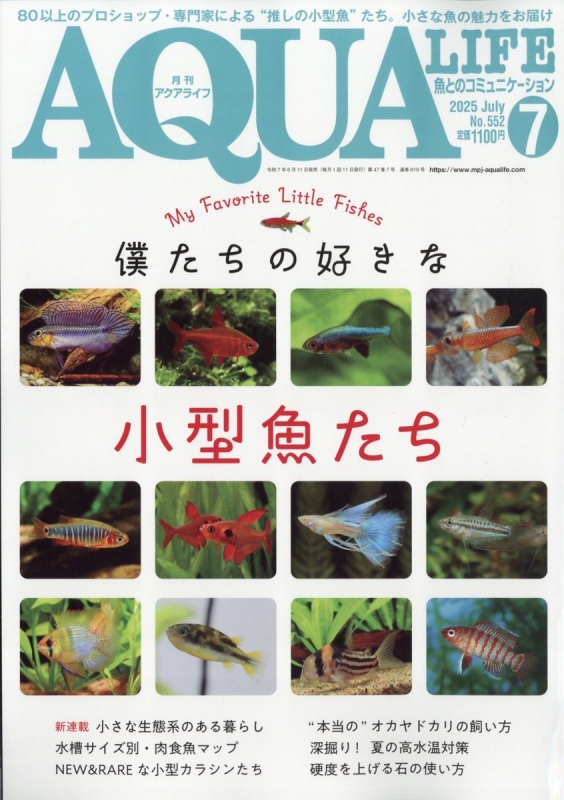 処分価格　アクアライフ2019年1月〜12月号　12冊セット 81Z9Rv8GPsL.jpg
