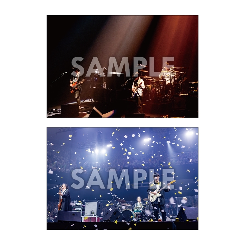 UNISON SQUARE GARDEN 直筆サイン入りポストカード UNISON SQUARE GARDEN 直筆サイン入りポストカード
