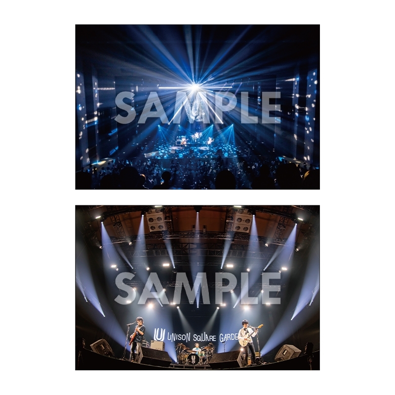 UNISON SQUARE GARDEN 直筆サイン入りポストカード UNISON SQUARE GARDEN 直筆サイン入りポストカード