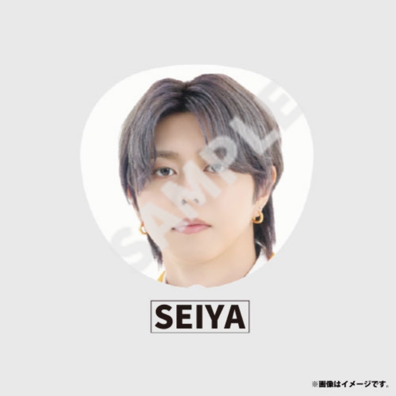 送料無料 通販  THE EBiDAN / うちわ【BUDDiiS（SEIYA）】 Big LIVE NINE HOTEL その他