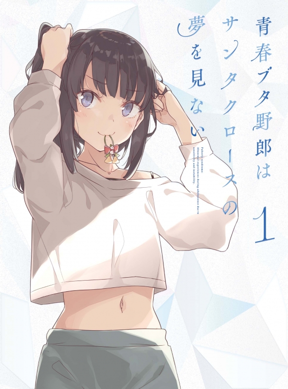 青春ブタ野郎はサンタクロースの夢を見ない  直筆ダブルサイン本 特典付き 青春ブタ野郎はサンタクロースの夢を見ない 1 Blu-ray【完全生産